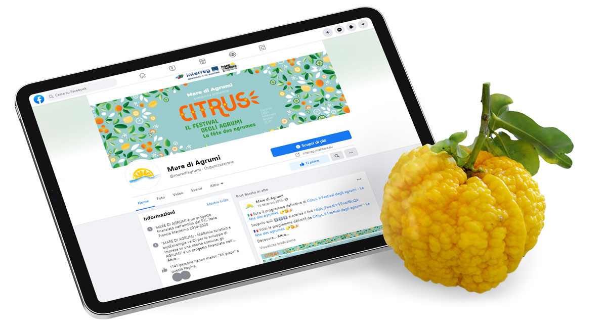 Citrus Festival social